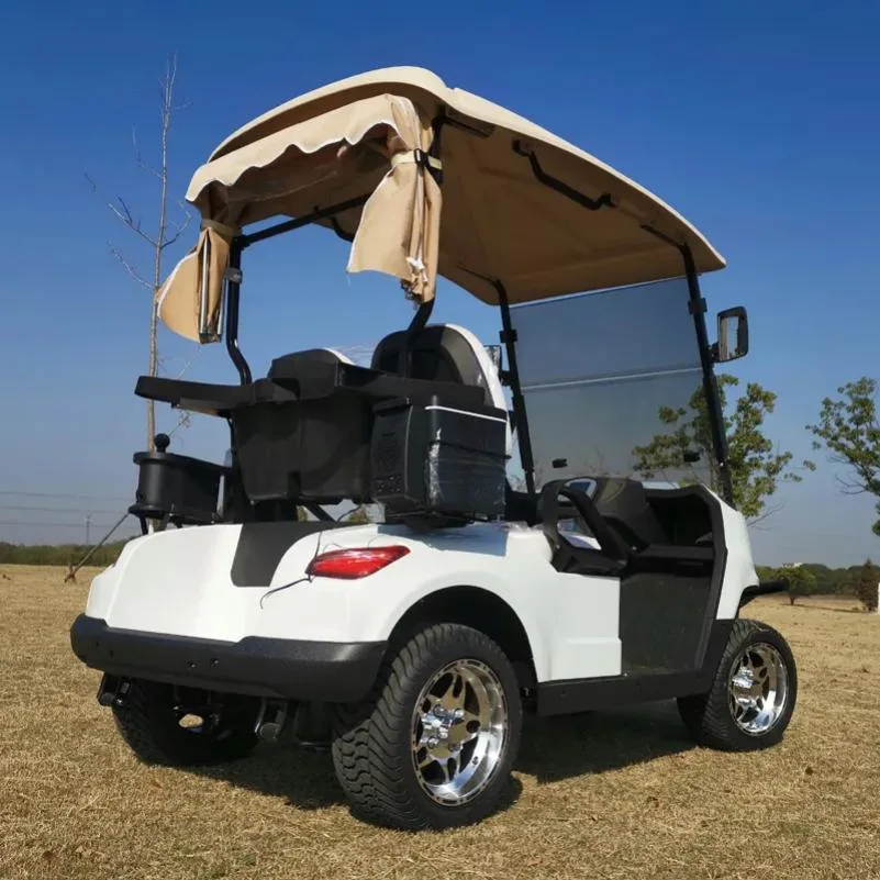 CE Approved 2 Seat Battery Powered Electric Aluminum Golf Cart and Controller